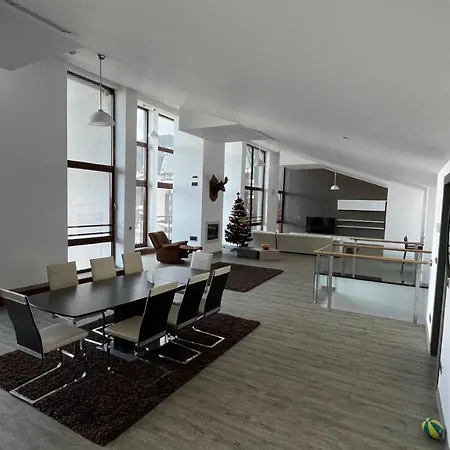 Ted Penthouse Silver Mountain-3
