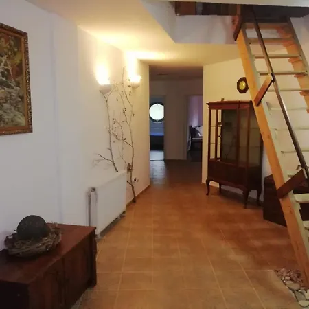 Domurile din Zărnești-3