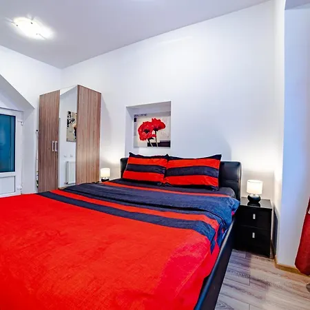 Poarta Schei Studio-2