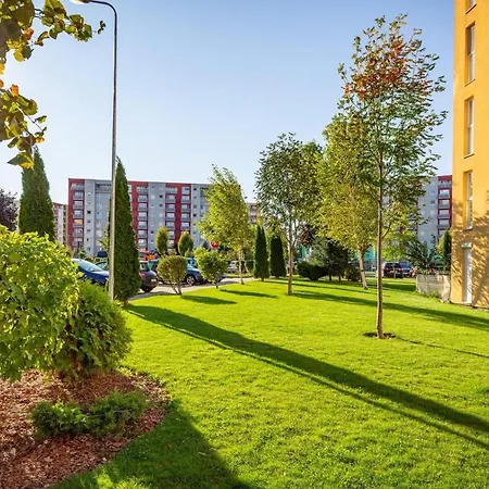 Apartment Richy Brasov-3