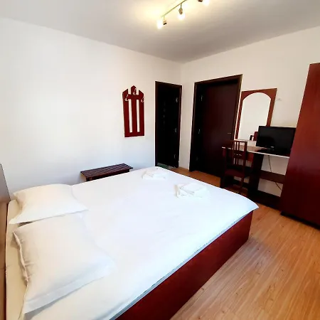 Vila Alma Azuga-2