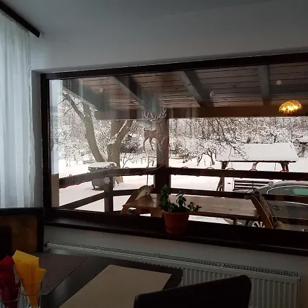 Pensiunea din Livada-3