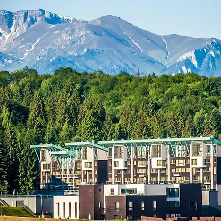 Ambient Apartment In Silver Montain - Poiana Brasov-3