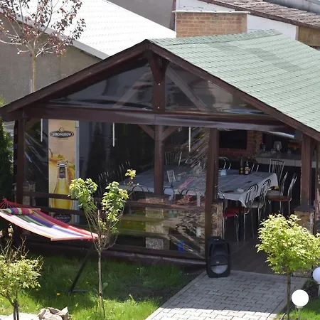 Pensiunea Casa Zece-3