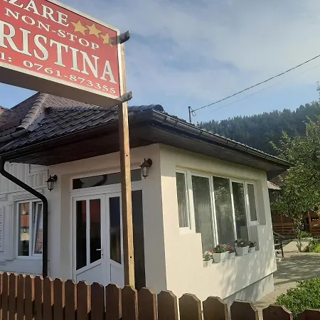 Pensiunea Cristina-3