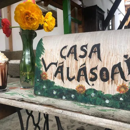Casa Valasoaia-2