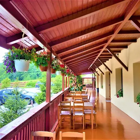Pensiunea Castania - Pensiune cu piscina la munte-3