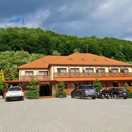 Pensiunea Castania - Pensiune cu piscina la munte-2