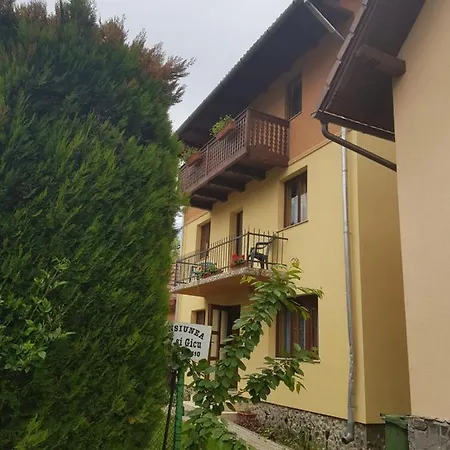 Pensiunea Valy Si Gicu-2