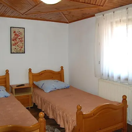 Pensiunea Valy Si Gicu-3