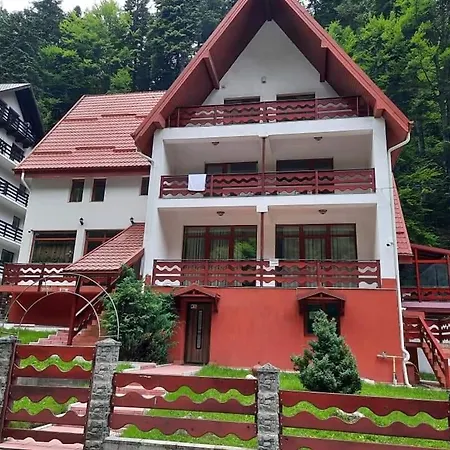 Vila Visinica-3