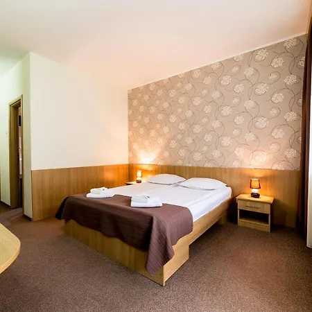 Hotel Muresul Health Spa-2