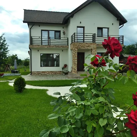 Pensiunea Casa Nușa-3