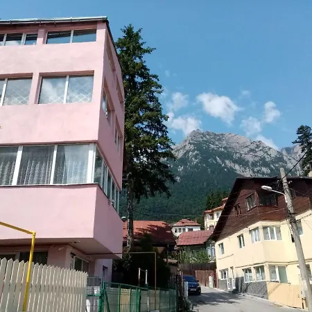 Vila Danlavi Busteni-3