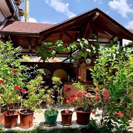 Casa Olanesti-3