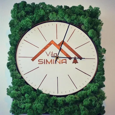 Vila Simina-2