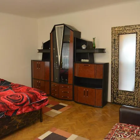 Apartament Oana-3