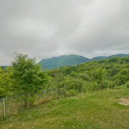 Coroni Apart 1 Cu Vedere Panoramica Brasov-3