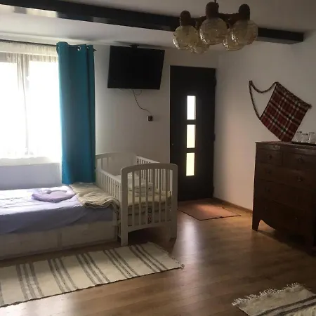 Casa Firuta Borsa-2