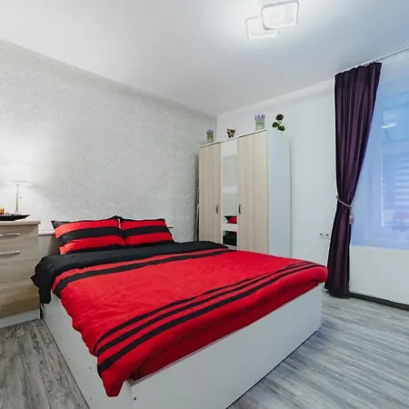 Studio Central Poarta Schei-3