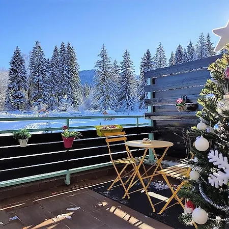 The Evergreen Nest - Silver Mountain-2