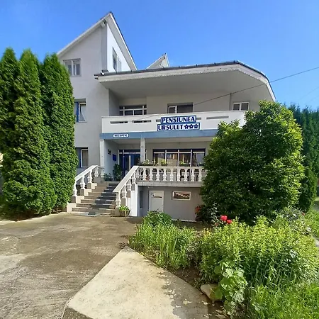 Pensiunea Ursulet-3