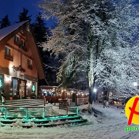 Pensiunea Happy Inn-2