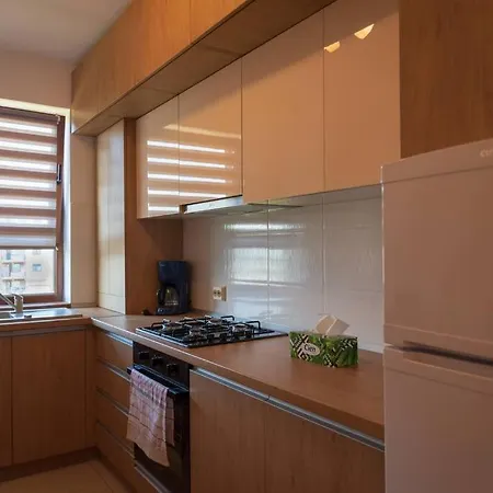Apartament Cu 1 Camera Pentru Un Sejur Minunat-3