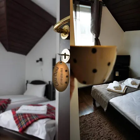 Casa Dana Putna Bucovina-3