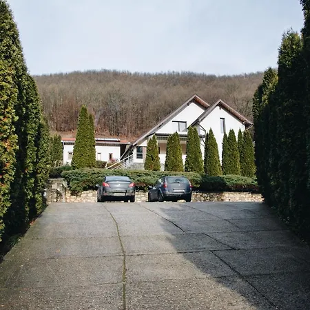 Casa dintre Brazi Hunedoara-3