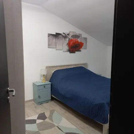 Collot Residence Sibiu-3