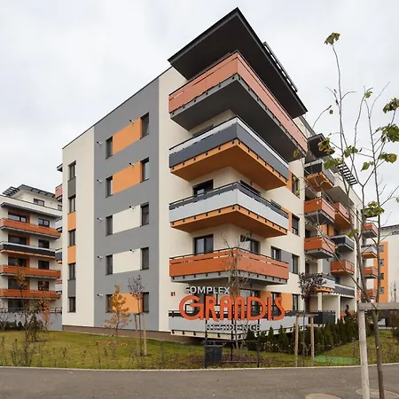 Studio Silvanda-3