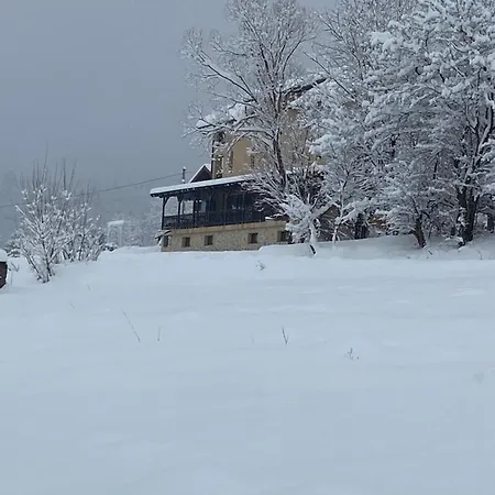 Top House-3