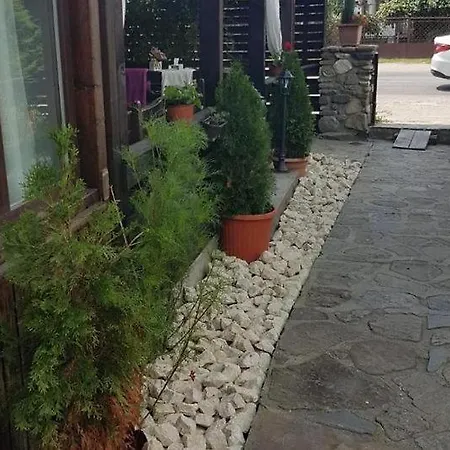 Casa De Vacanta Valea Argesului-2