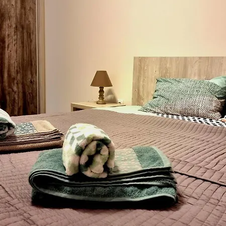Swan Brasov Apartment-3