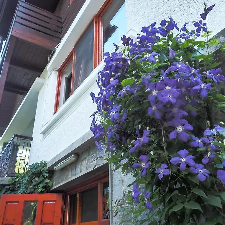Casa Camelia-3