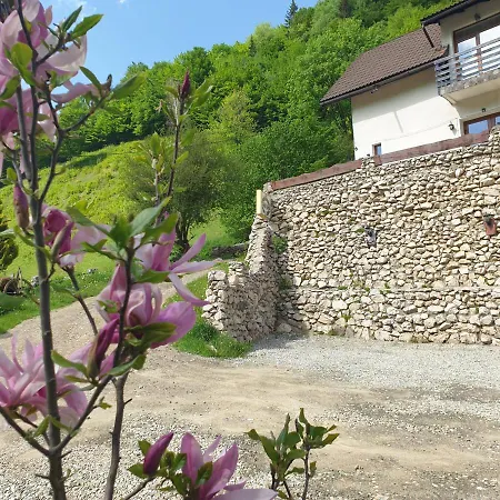 Valea lui Bogdan-3