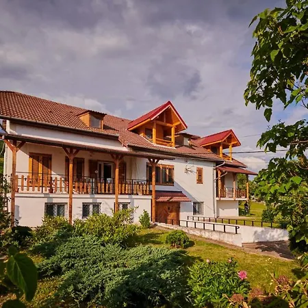 Vila Ţara Haţegului-2