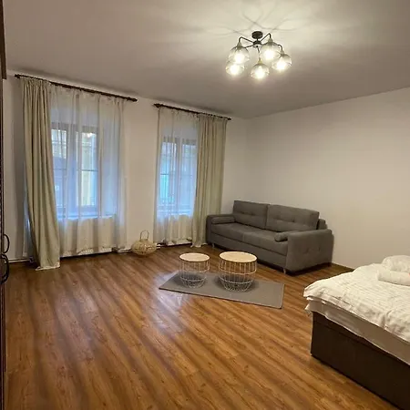 Apartament Central Tipografilor-3