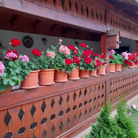 Casa Miki-3