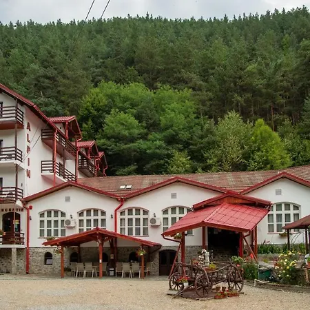 Pensiunea Alpin-3