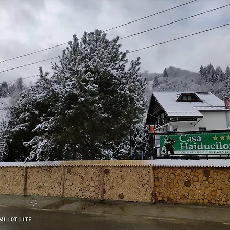 Casa Haiducilor Satic-3