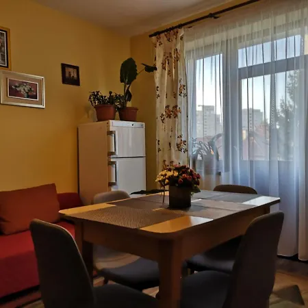 Villa Casa Ioana-2
