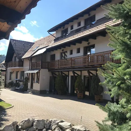 Pensiunea Haiduc Sacele Brasov-2