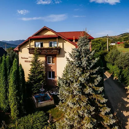 Pensiunea Bucovina-2