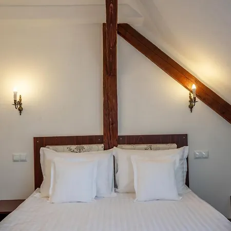 Clasic Haus Sighisoara-3