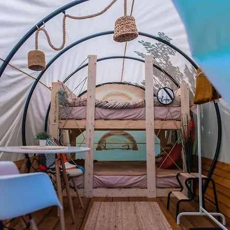 Dragonfly Gardens - The Wagons-2