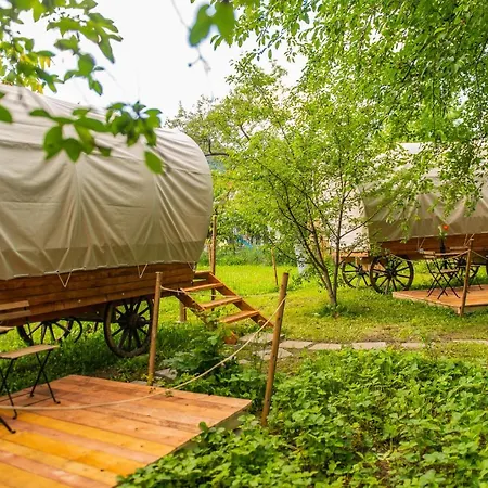 Dragonfly Gardens - The Wagons-3