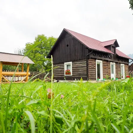 Wild-Traditional Bucovina-3