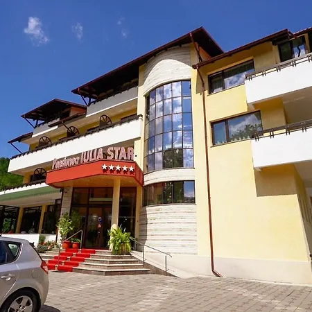 Pensiunea Iulia Star-3